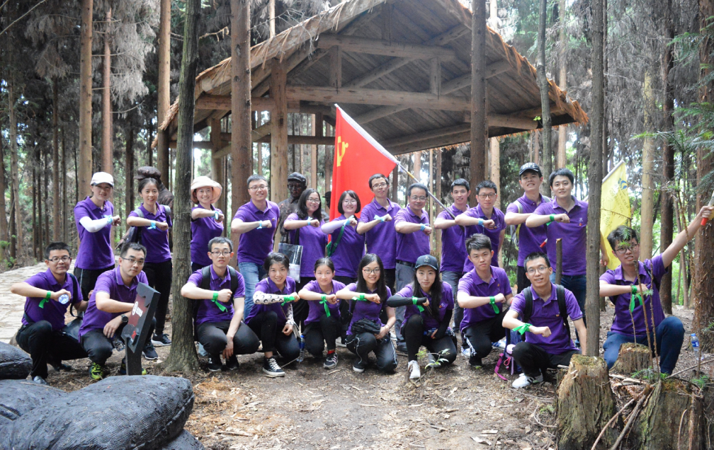 东升国际官网设计2019年党建活动